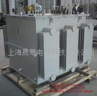 TEDJZ油浸式电动调压器